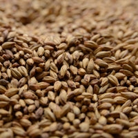 Briess Special Roast 1lb