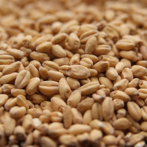 Wheat Malt - Viking Malt