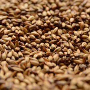 Briess Caramel 90L