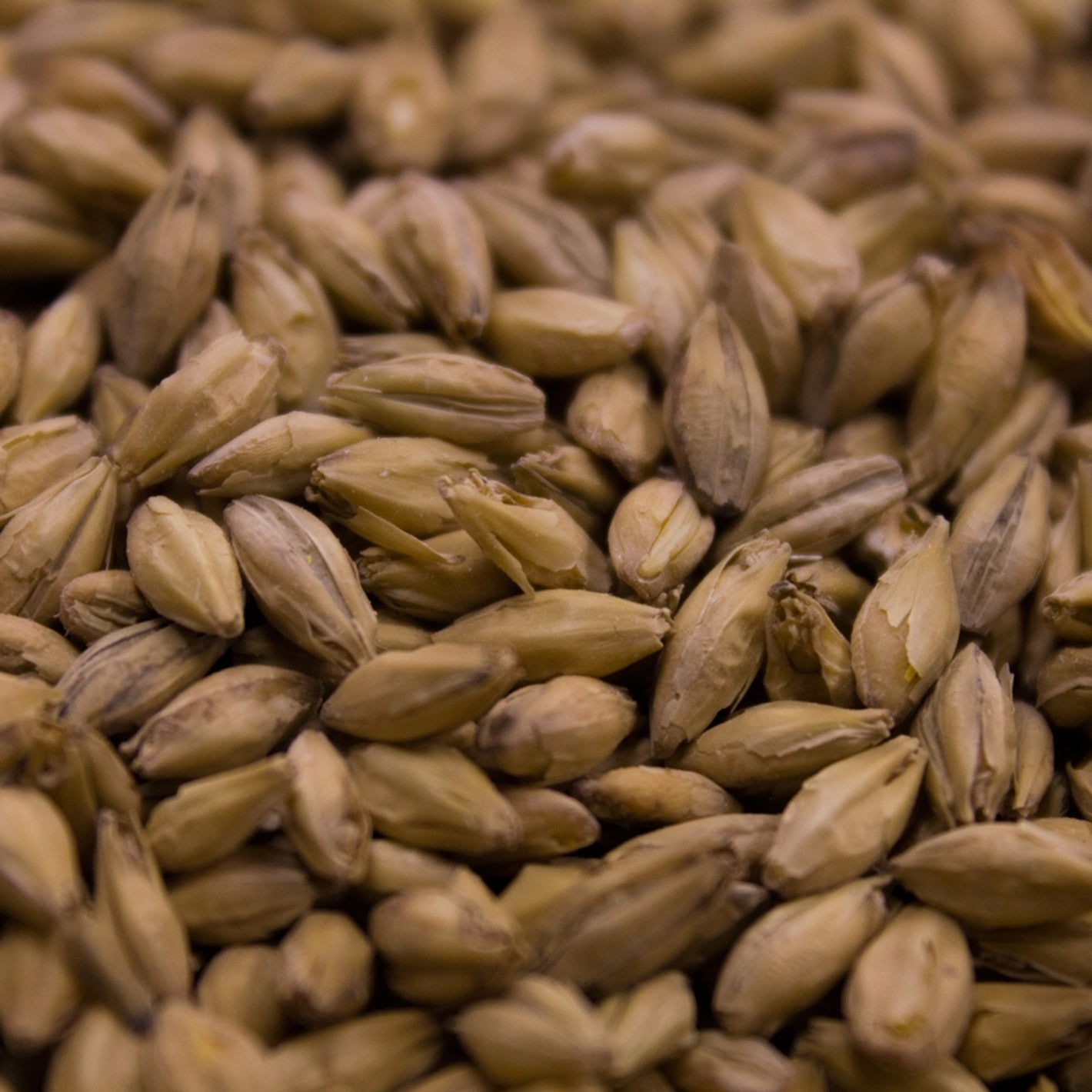 Peated Malt