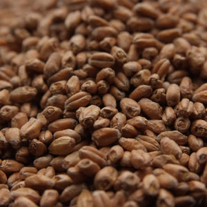 Weyermann® Floor-Malted Bohemian Wheat