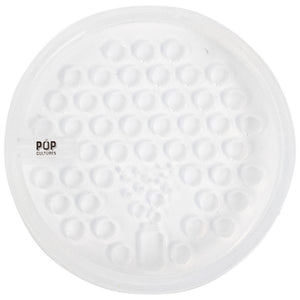 Pop Cultures | Food Fermentation Screen