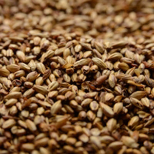 Briess Caramel 40L