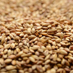 Briess Caramel 10L