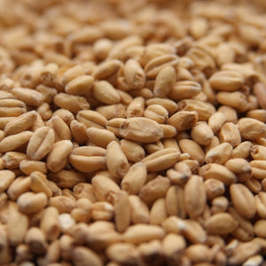 Briess White Wheat