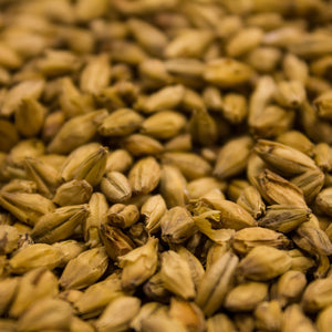 Vienna Malt - Viking Malt