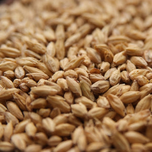 2-Row Xtra Pale Malt - Viking Malt