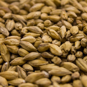 Weyermann® Barke® Pilsner Malt 55lb bag