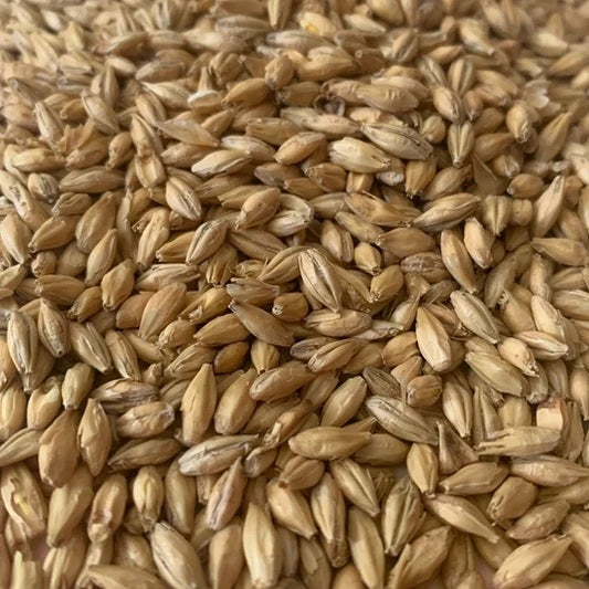 North Star Pils™ | Rahr Malting Co.®