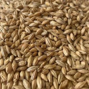North Star Pils™ | Rahr Malting Co.®