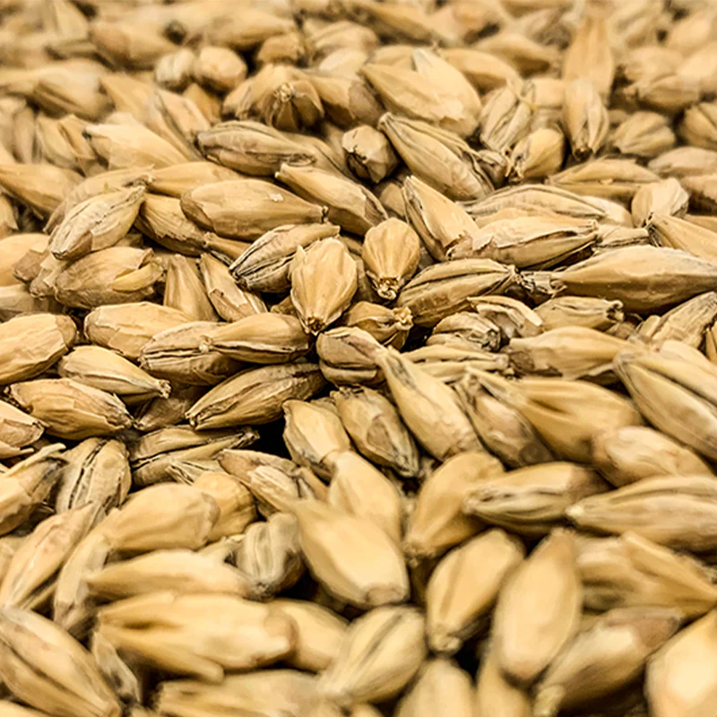 Dextrin Malt | Rahr Malting Co.®
