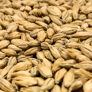 Dextrin Malt | Rahr Malting Co.®
