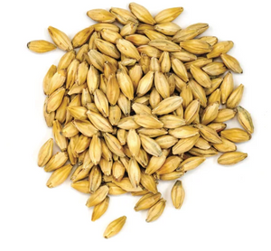 Skagit Valley Malting Pale Malt