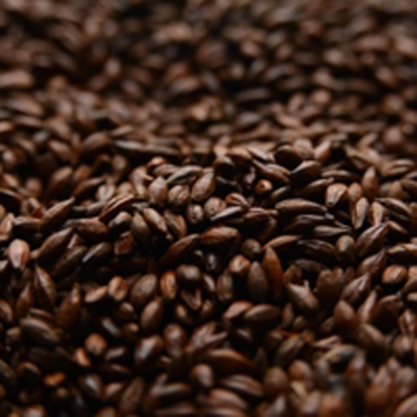 Black Roasted Barley Malt
