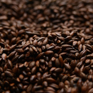 Black Roasted Barley Malt