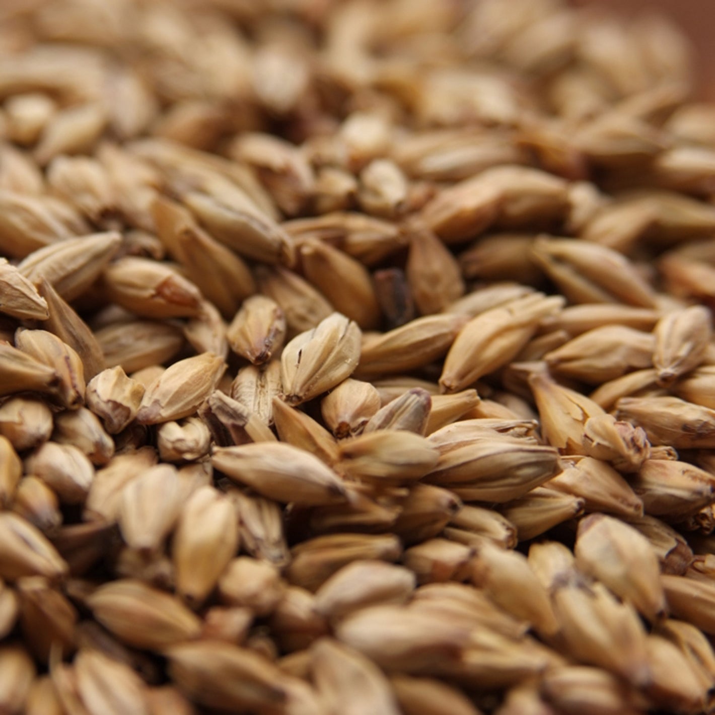 Melanoidin Malt - Weyermann® Specialty Malts